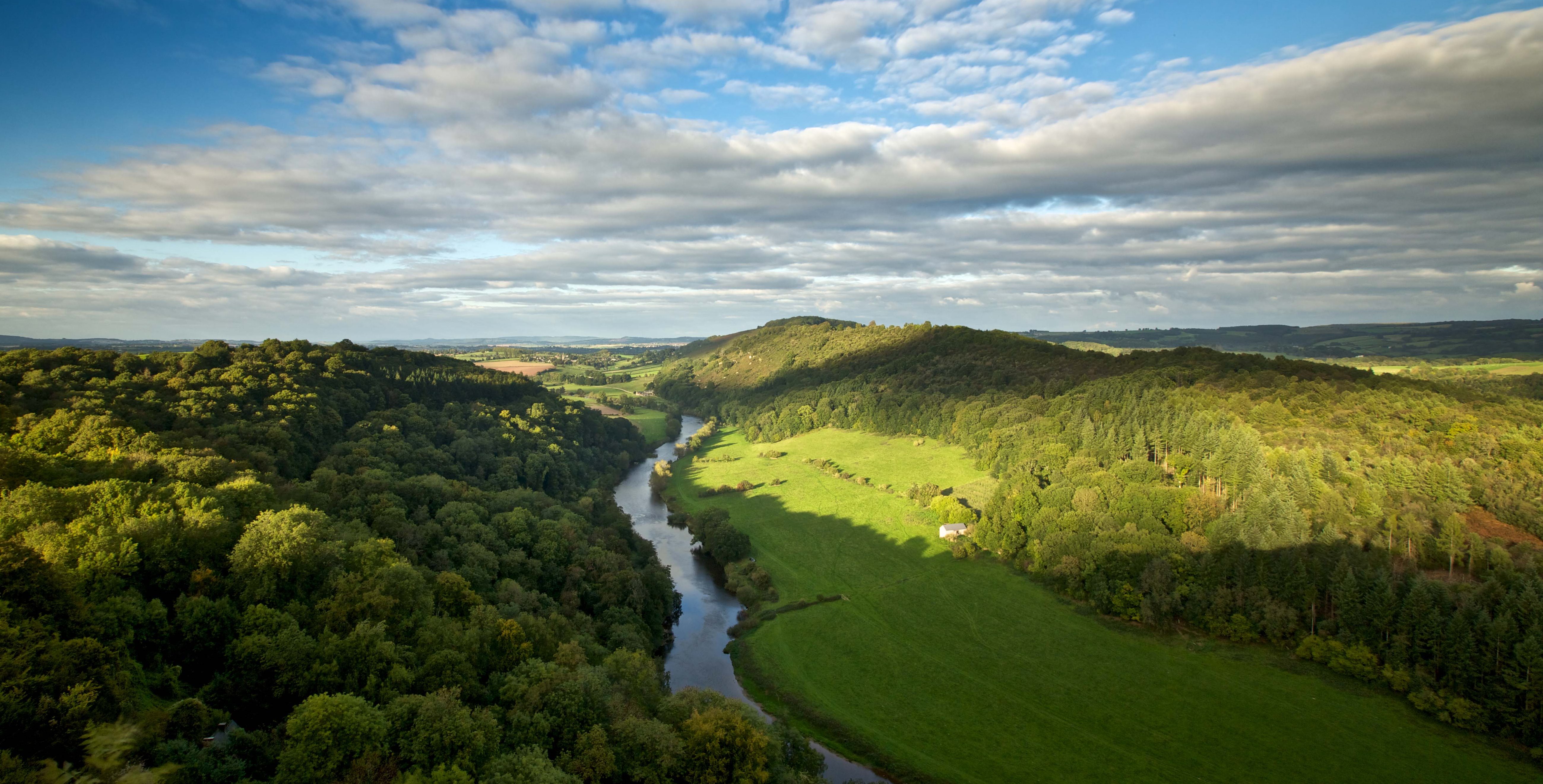 Symonds Yat Rock Forestry England